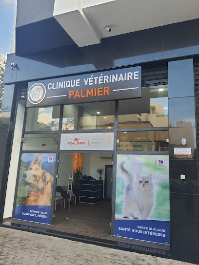 Photo de Clinique vétérinaire Palmier - Dr Ouazzani