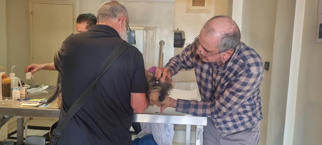 Photo de Cabinet Veterinaire Mhamid