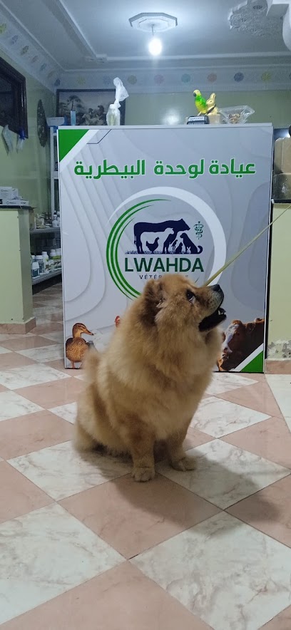 Photo de CABINET VETERINAIRE LWAHDA- URGENCES vétérinaire 24/24 et 7/7